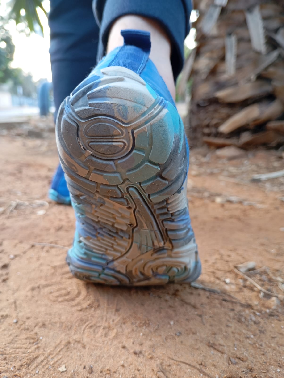 ילדים TERRA joy