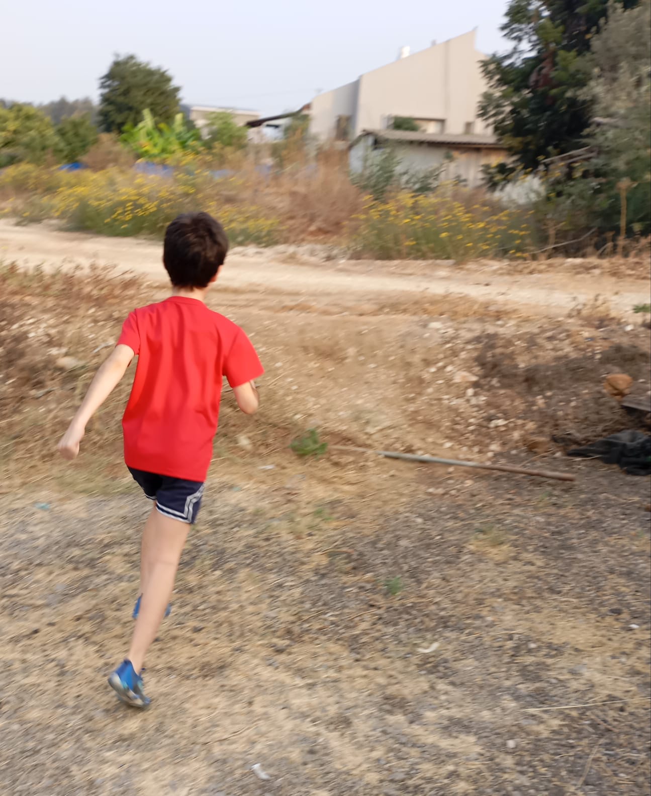 TERRA joy · kids