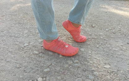 TERRA Flow | בירפוט הבסיס שלך