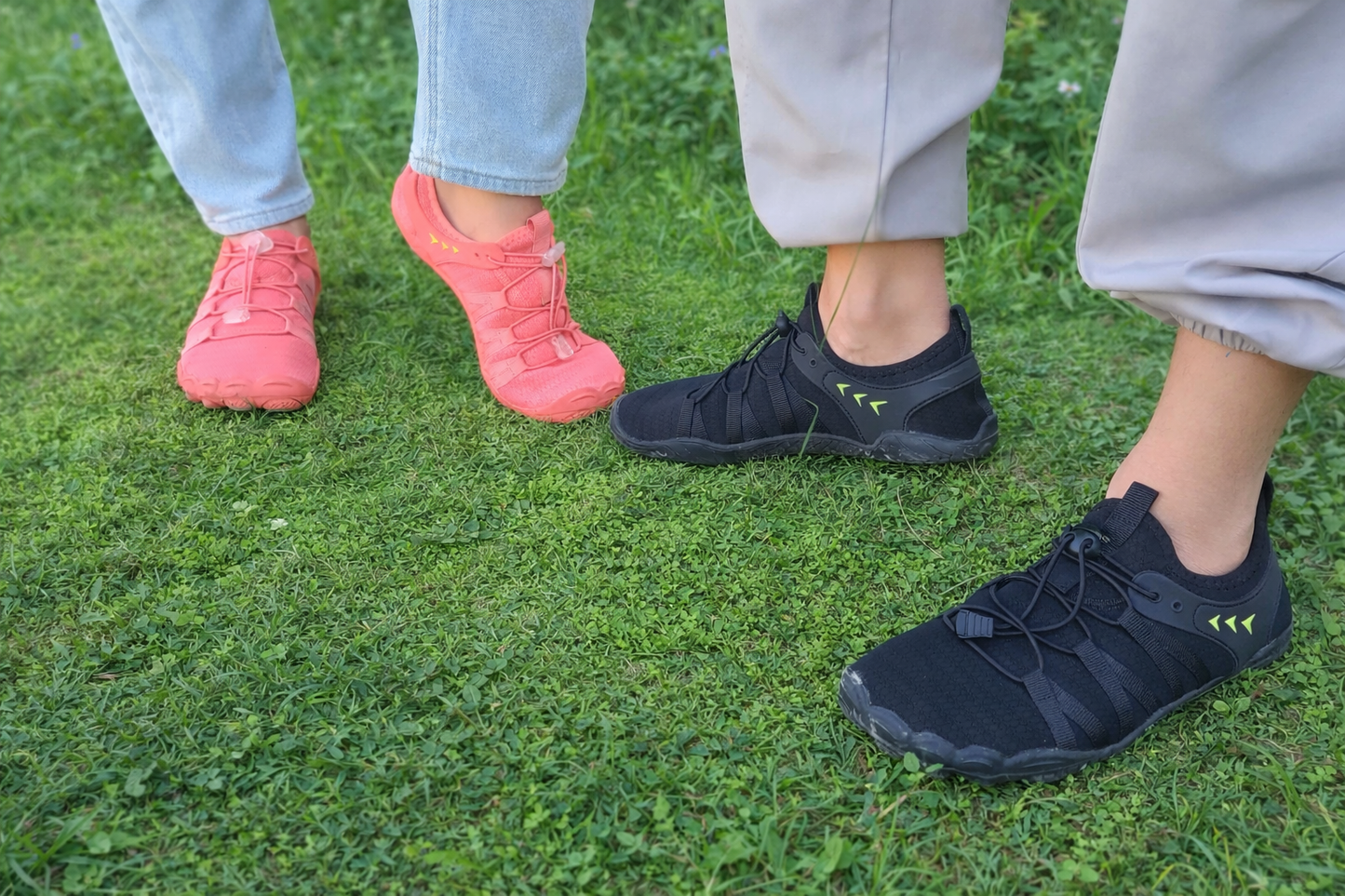 TERRA Flow | בירפוט הבסיס שלך